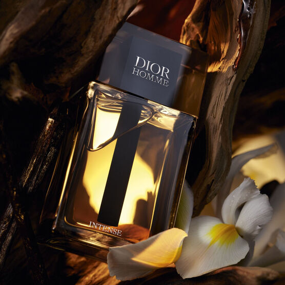 DIOR       D. H. INTENSE EDPV 100ML